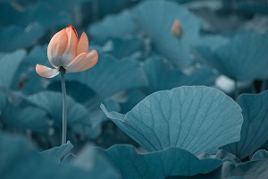 很多考生在結(jié)束了高考之后，由于成績不理想，未能如愿進(jìn)入理想的大學(xué)