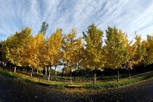大專第三年才開始準備普通專升本考試來得及嗎？該如何備考？