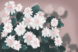 能否報考？