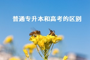 普通專升本和高考之間有什么差別？哪個更難考？