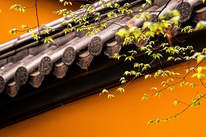 普通專升本備考的第一步是先擇校還是先選專業(yè)？