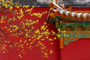 全日制普通專升本和本科有區(qū)別嗎？哪些地方是不同的？