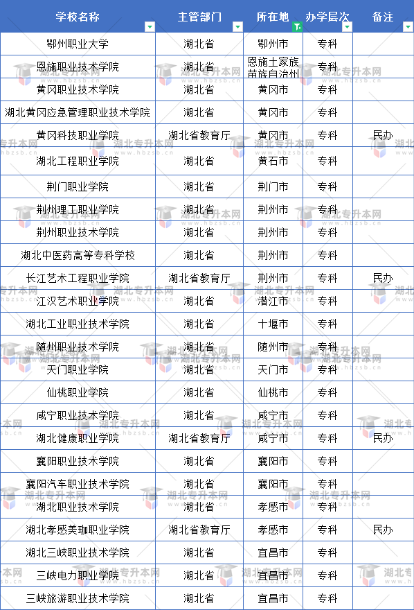 武漢市外的專(zhuān)科院校有：