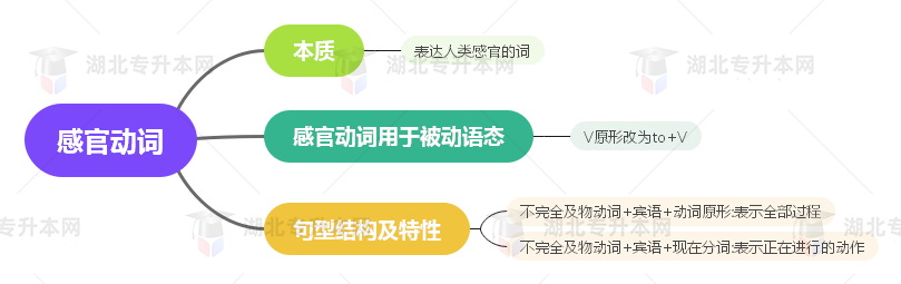 普通專升本英語要掌握多少種語法？25張思維導(dǎo)圖教會你！